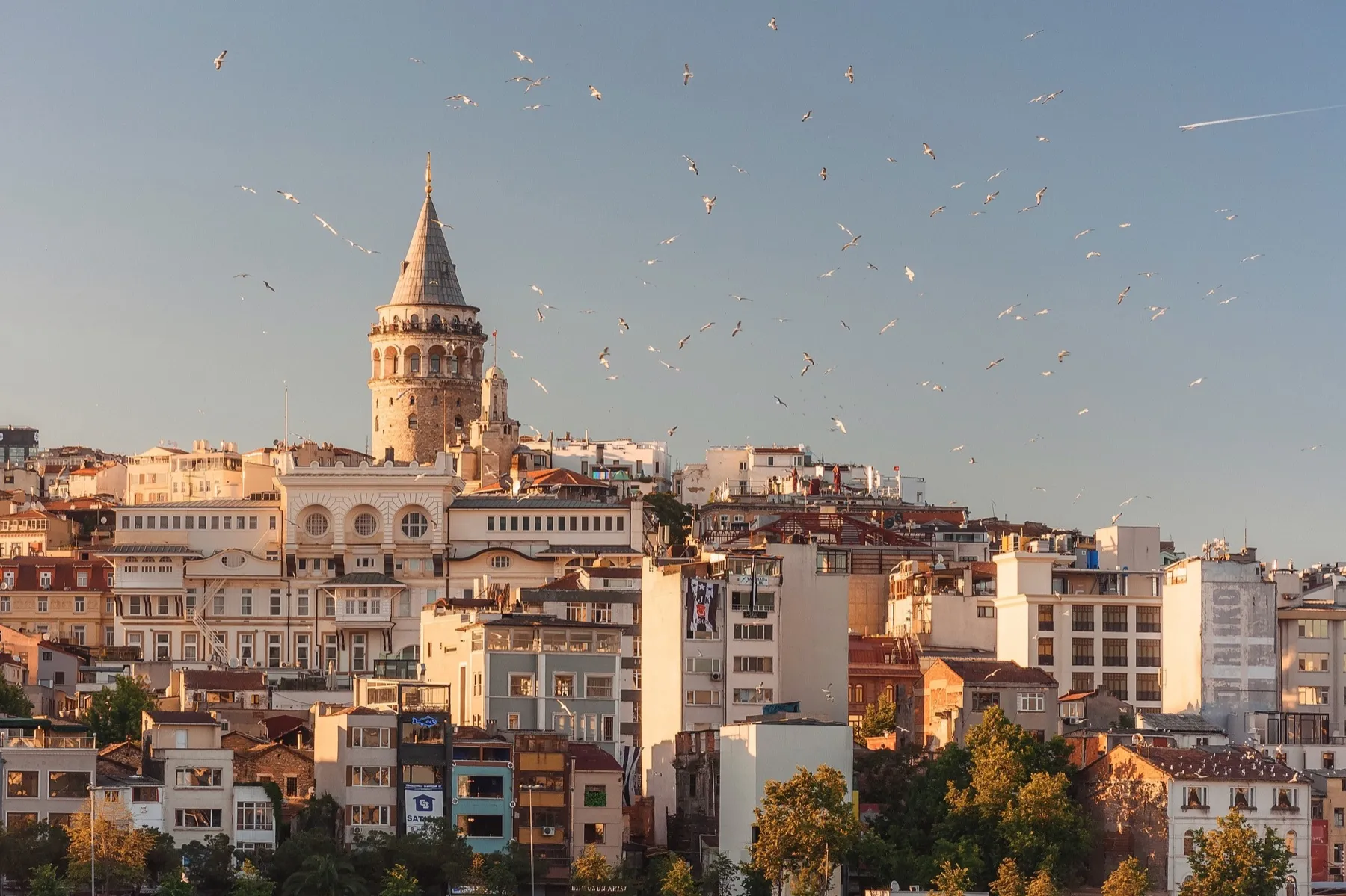 Galata Tower above the rooftops of Beyoğlu, seagulls in the sky